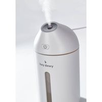 Portable Facial Humidifier