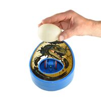 Dino Eggmazing Kit