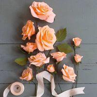 Roses Crepe Paper Flower Kit