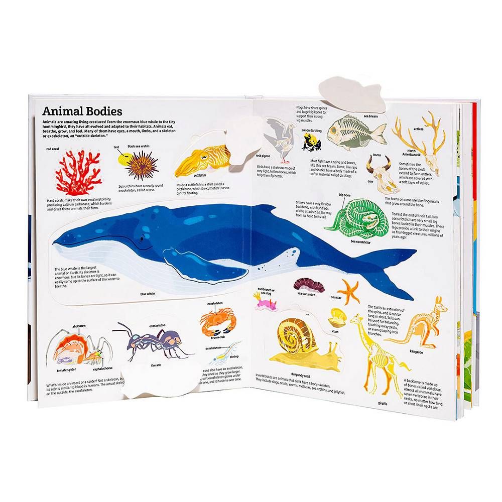 Ultimate Book Of Animals