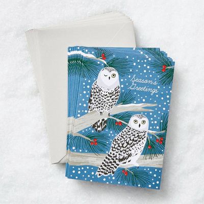 Snowy Owls Card Set