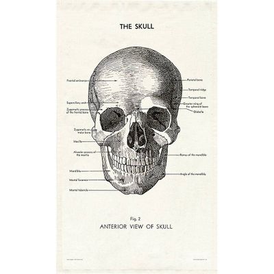 Skull Tea Towel