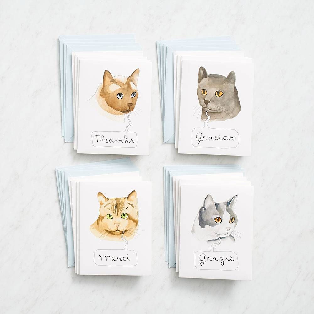 International Cats Thank You Card Set