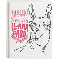 For No Reason Llama Greeting Card