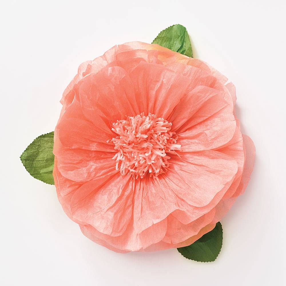 Large Tissue Paper Peony Flowers