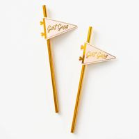 Girl Gang Pennant Paper Straws