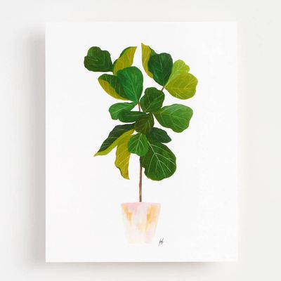 Fiddle Leaf Fig Art Print