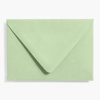 4 Bar Eucalyptus Envelopes