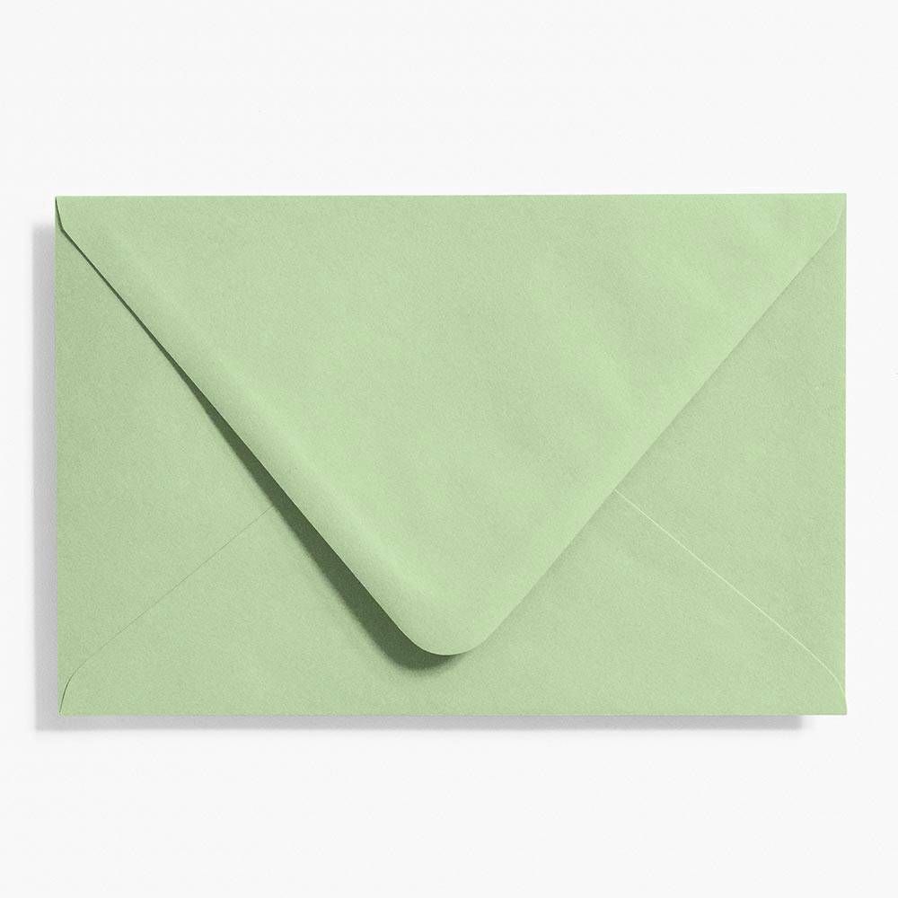 A9 Eucalyptus Envelopes