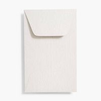 Shimmer Silver Coin Envelopes