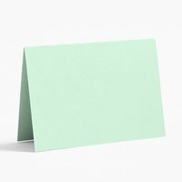 Mint Place Cards