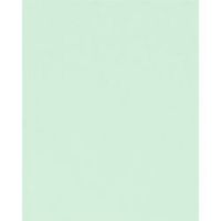 Mint Card Stock 8.5" x 11" Bulk Pack