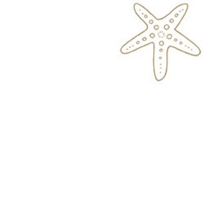 Sketch Starfish Rubber Stamp