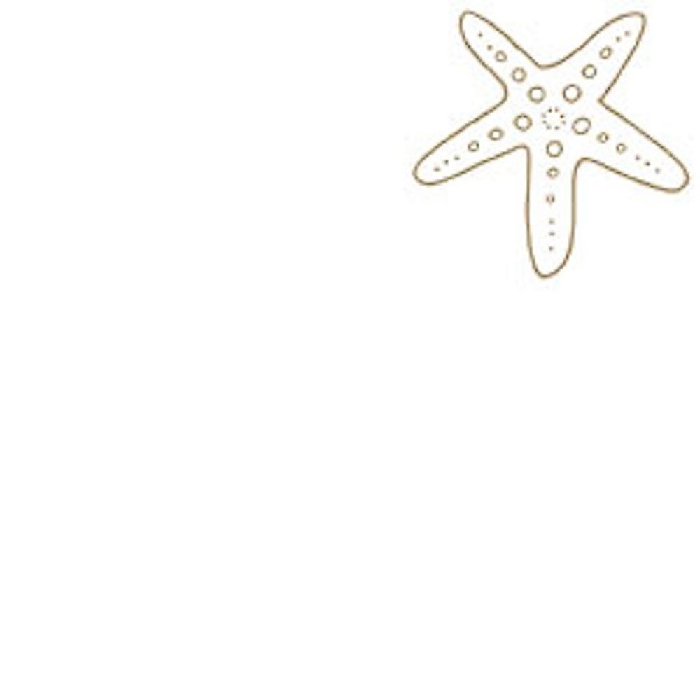 Starfish drawing Vectors  Illustrations for Free Download  Freepik