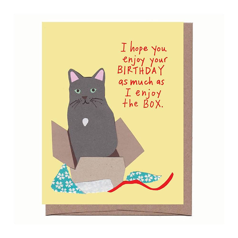 Cat In A Box Birthday Card