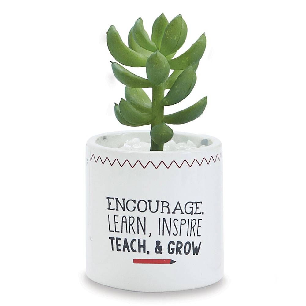 Encourage & Inspire Succulent