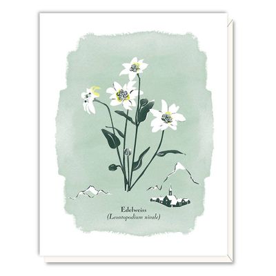 Edelweiss Greeting Card