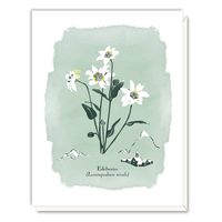 Edelweiss Greeting Card