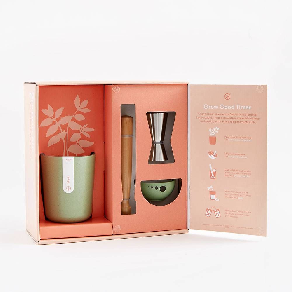 Mint Sprout, Sip, & Celebrate Kit