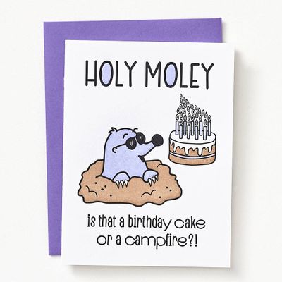 Holey Moley Birthday Card