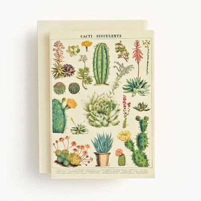 Cacti and Succulents Card