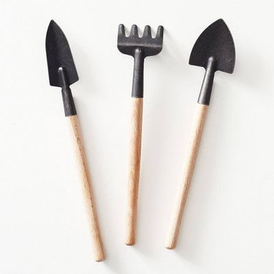 Mini Garden Tool Set