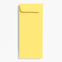 #10 Open End Sunshine Envelopes