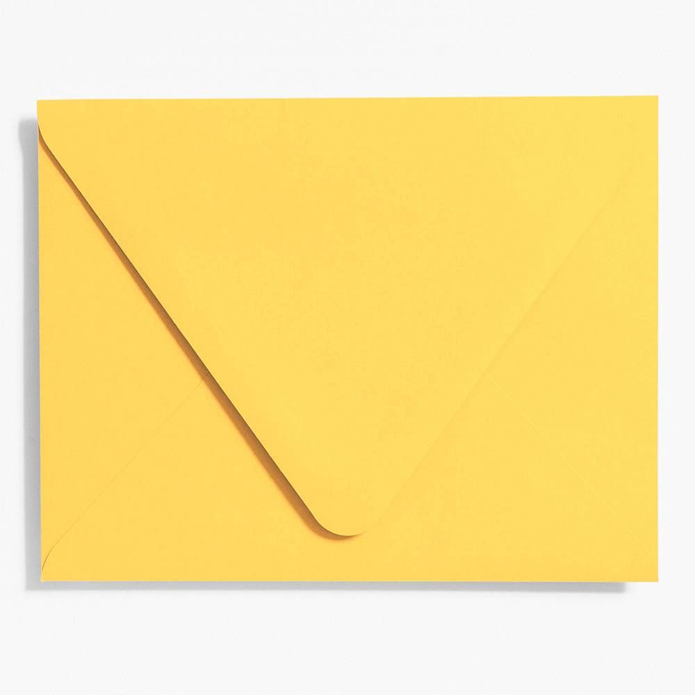 Curry Presentation Envelopes