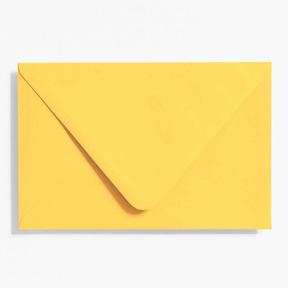 A9 Curry Envelopes