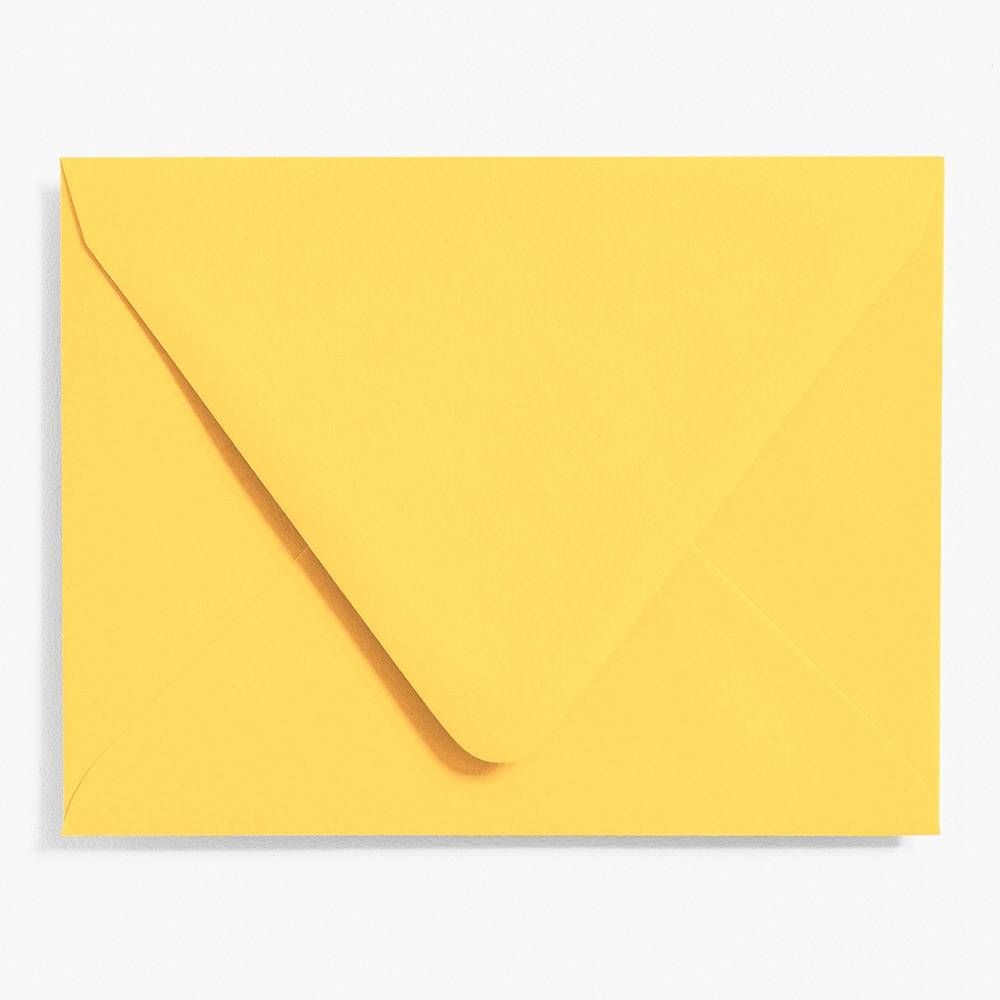 A2 Curry Envelopes