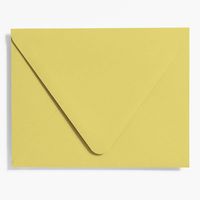 Chartreuse Presentation Envelopes