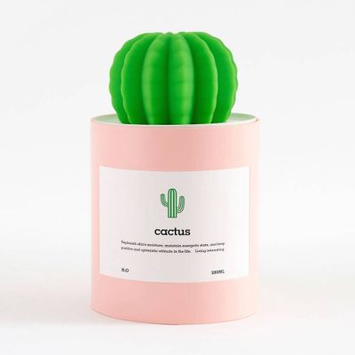 Cactus Humidifier