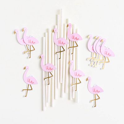 Flamingo Holographic Straws
