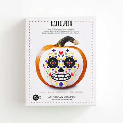 Sugar Skull Pumpkin Decorating Kit