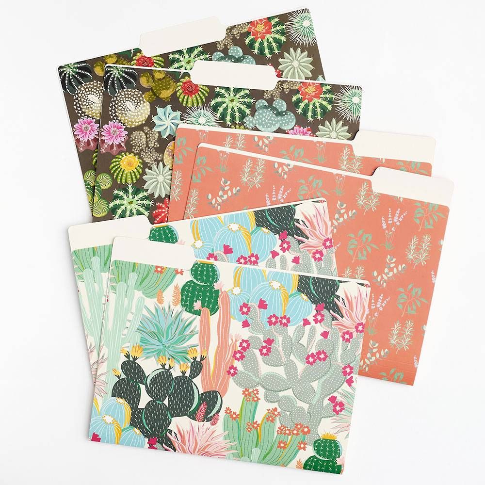 Cactus File Folders