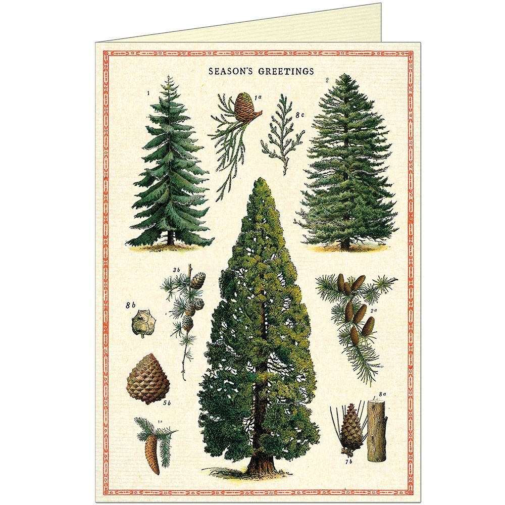 Christmas Trees Greeting Card