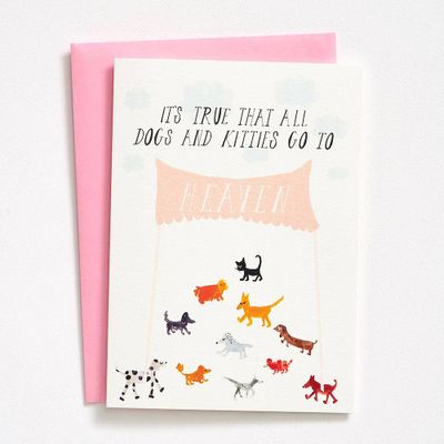 All Dogs and Kitties Sympathy Card