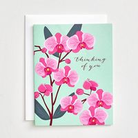 Thinking of You Orchids Greeting Card