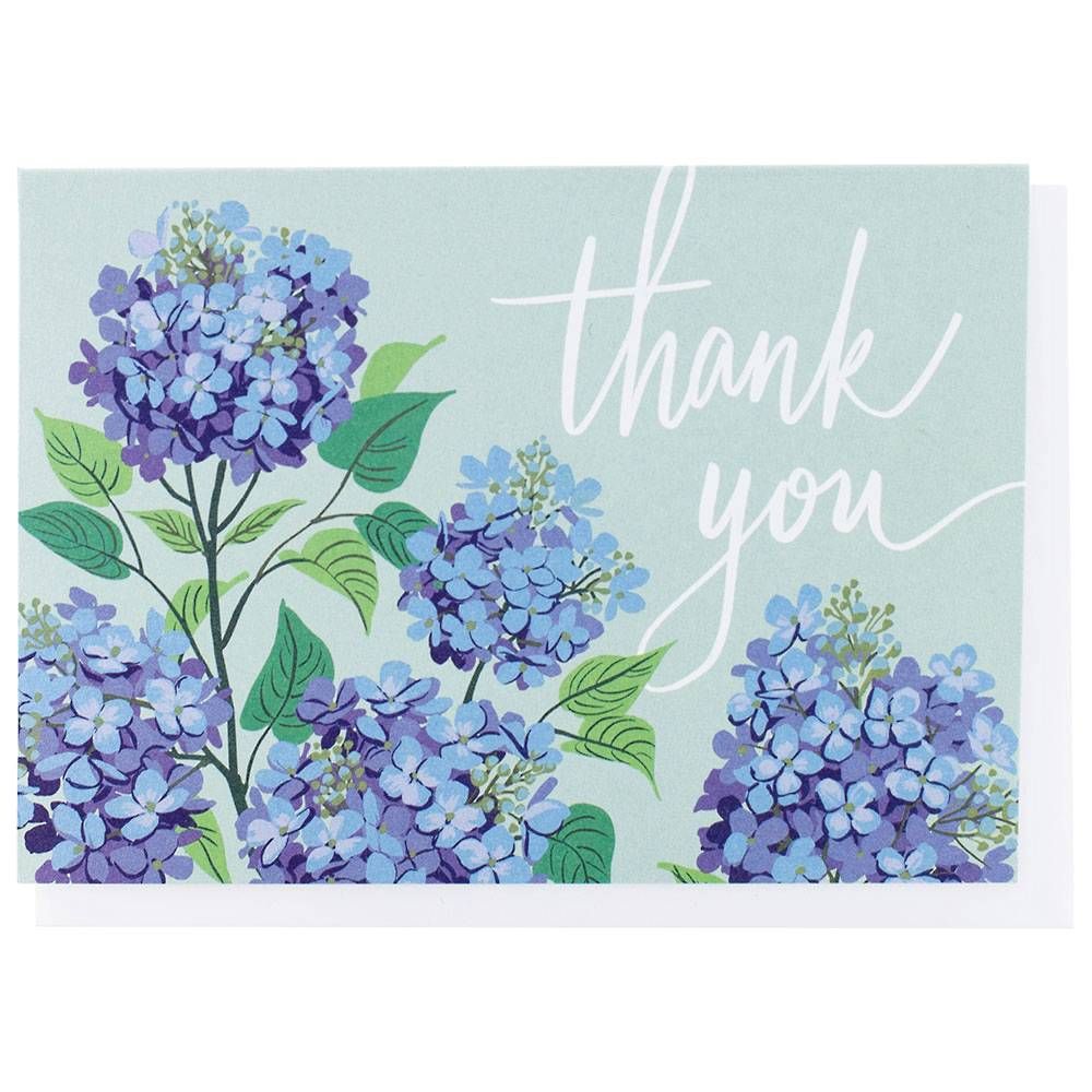 Hydrangea Thank You Card Set