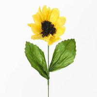 Yellow Sunflower