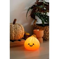 Pumpkin Dumpling Light