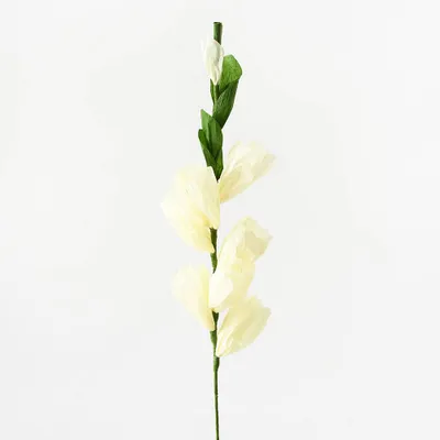 Multi-Bloom Paper Flower