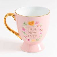 Best Mom Ever Mug