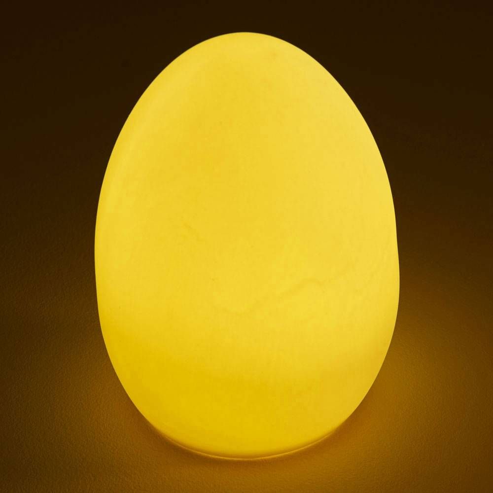 Egg Light