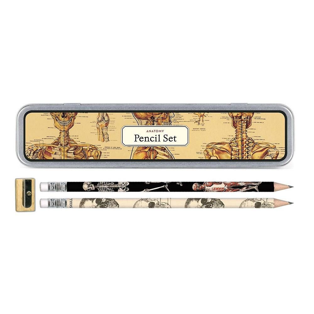 Anatomical Pencil Set