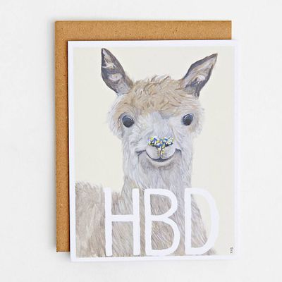 Llama Sprinkles Birthday Card