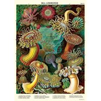 Sea Anemones Wrap & Poster