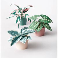 Potted Plants Craft Kit