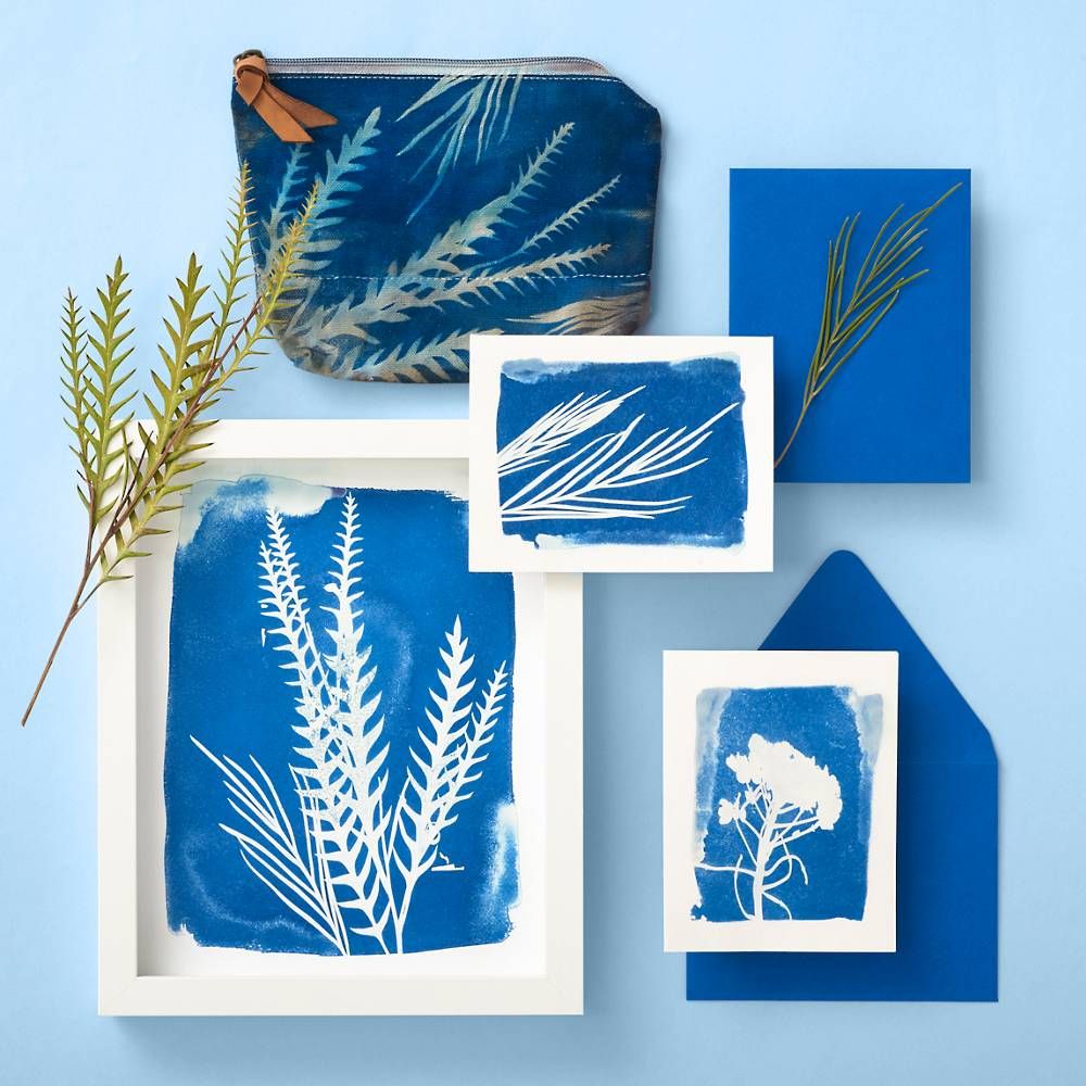 Cyanotype Print Craft Box