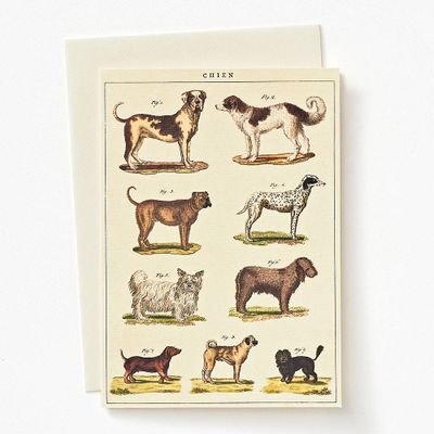 Dog Chart Greeting Card